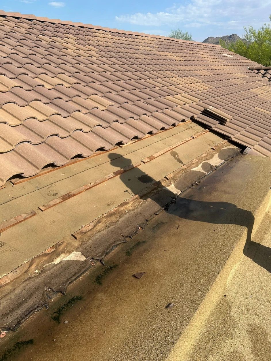 Tile lifted at the transition, exposing underlayment compromised by standing water